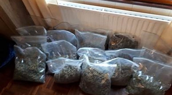 De politie trof 17 kilo aan henneptoppen aan.