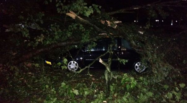 In Burgh-Haamstede viel een boom op twee auto's.