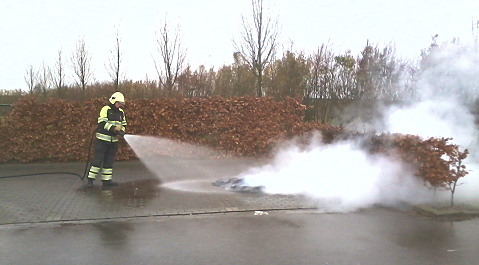 De brandweer van 's-Gravenpolder heeft het brandje geblust.