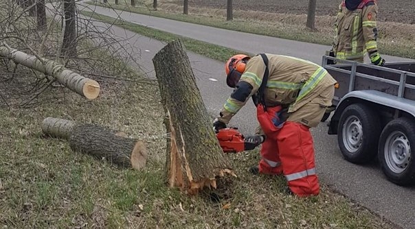 De brandweer van Oostburg heeft de boom in stukken gezaagd.