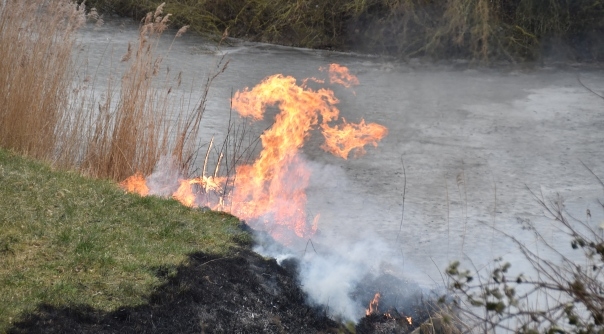 Het vuur werd rond 10.10 uur ontdekt langs de Westhavendijk