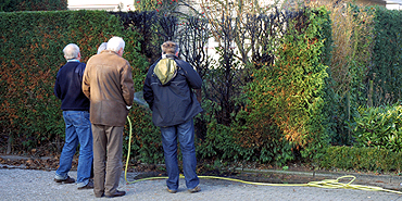 Brandje in coniferenhaag Middelburg