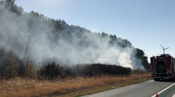 De brandweer van Nieuwdorp heeft de bermbrand geblust.
