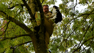 Brandweer Goes redt kat uit boom Bramestraat