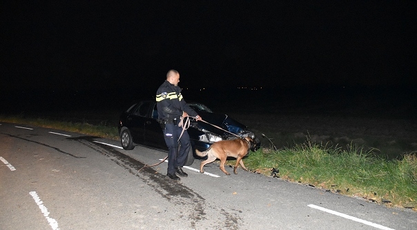 Een politiehond heeft in de omgeving gezocht naar de bestuurder.