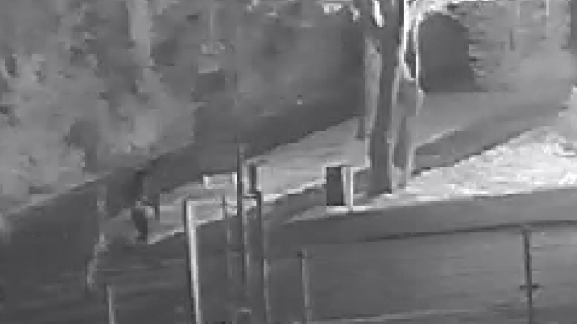 Op de beelden is te zien dat een persoon een molotovcocktail naar de woning gooit.