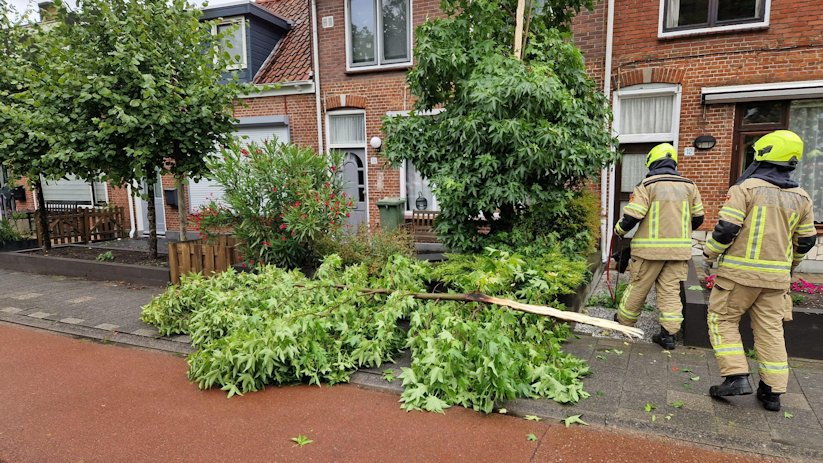 De stormschade bij de Ten Ankerweg in Tholen.