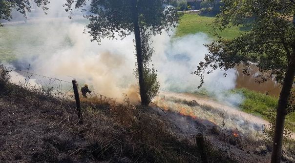 Volgens de brandweer is circa 700 vierkante meter begroeiing in vlammen opgegaan.