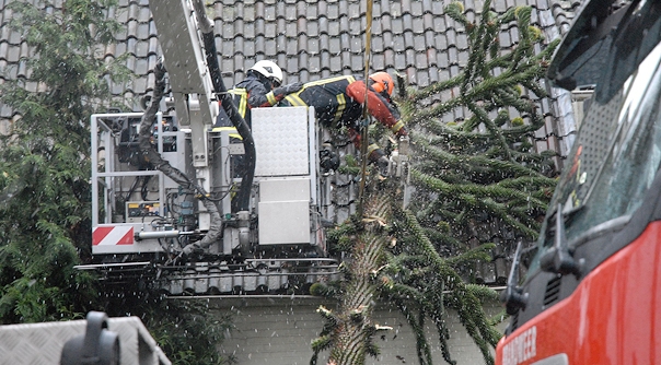 De brandweer heeft de boom van de gevel verwijderd.