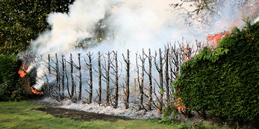 Brandweer blust heg in Bruinisse