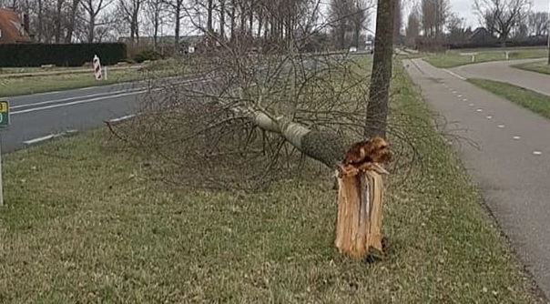 De brandweer van Oostburg heeft de boom in stukken gezaagd.