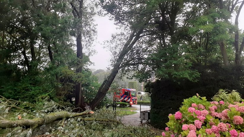 De stormschade bij de Domburgseweg in Domburg.