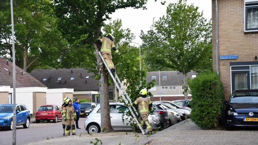 De brandweer heeft de tak afgezaagd.