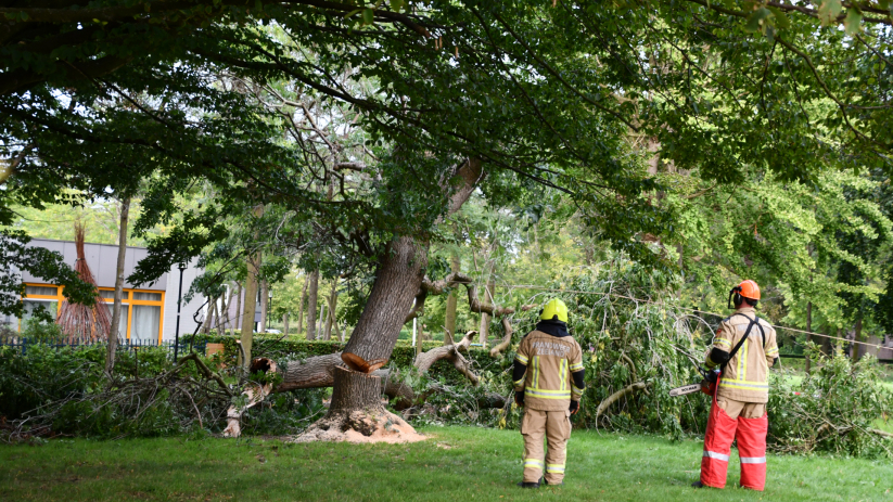 Voor de veiligheid heeft de brandweer de boom volledig omgezaagd.