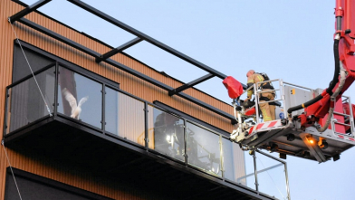 Brandweer haalt verzwakte meeuw van balkon