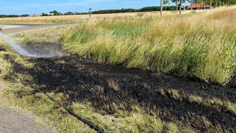 Aan de Weelhoekweg in Borssele stond een stuk berm in brand.