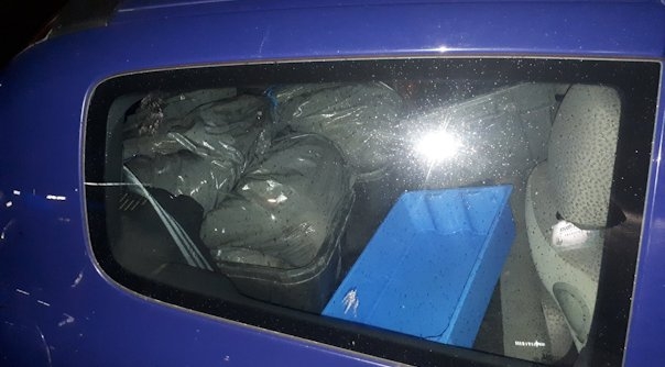 De vuilniszakken met vis lagen in een auto.