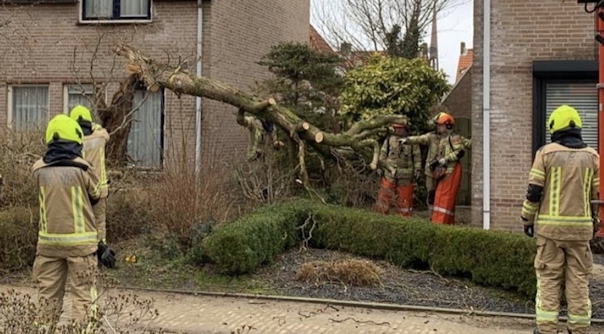 De brandweer heeft de boom omver getrokken en in stukken gezaagd.