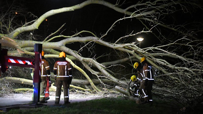 Brandweerlieden bij een omgevallen boom in Vlissingen.