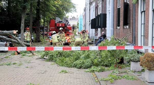 Aan het Molenwater in Middelburg viel een grote boom bovenop een auto.