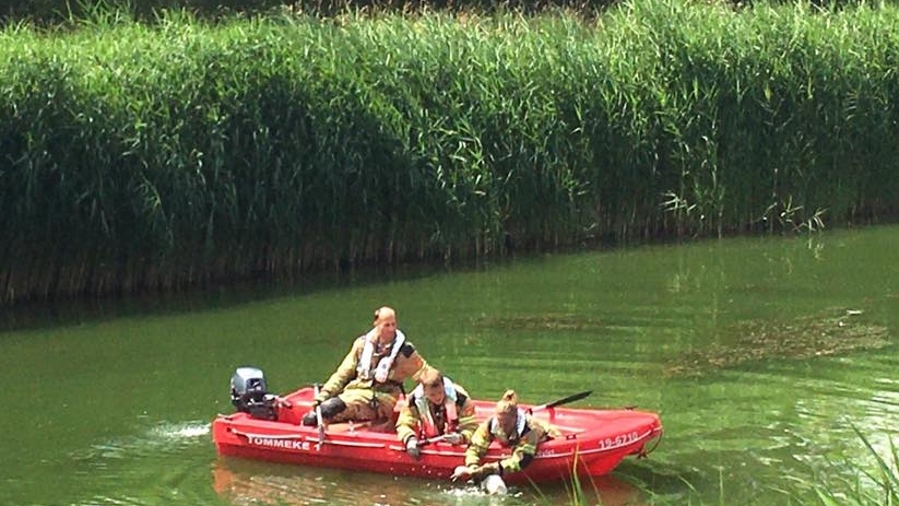 Met behulp van een bootje kon de brandweer het zwaantje bevrijden.