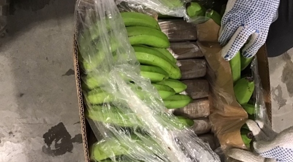 De drugs waren verstopt in een lading bananen.