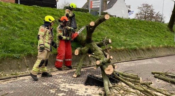 Brandweerlieden van de post Torenweg hebben de boom in stukken gezaagd.