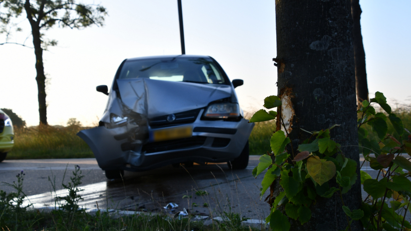 Zowel de auto als de boom raakten beschadigd bij het ongeval.