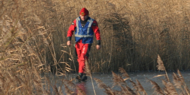 Brandweer redt zwaan uit ijs in natuurgebied