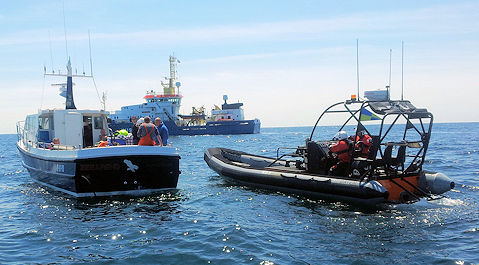 Acht opvarenden zijn met behulp van een reddingsboot naar de kant gebracht. 