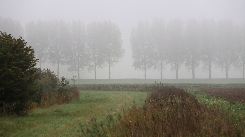 Code geel voor dichte mist in Zeeland