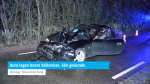 Auto tegen boom Valkenisse, één gewonde