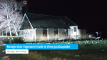 Ravage door ingestorte loods in Anna Jacobapolder