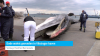 Dode walvis gevonden in Vlissingse haven